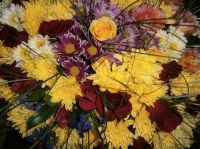 С днем Учителя!